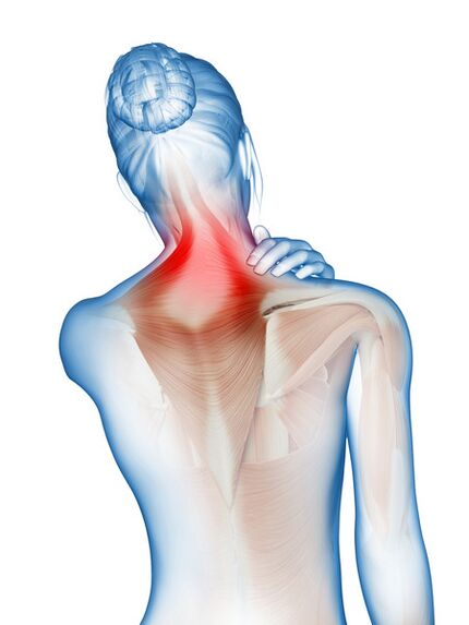 Zapalenie i bolesność mięśni i stawów - powód stosowania Motion Energy